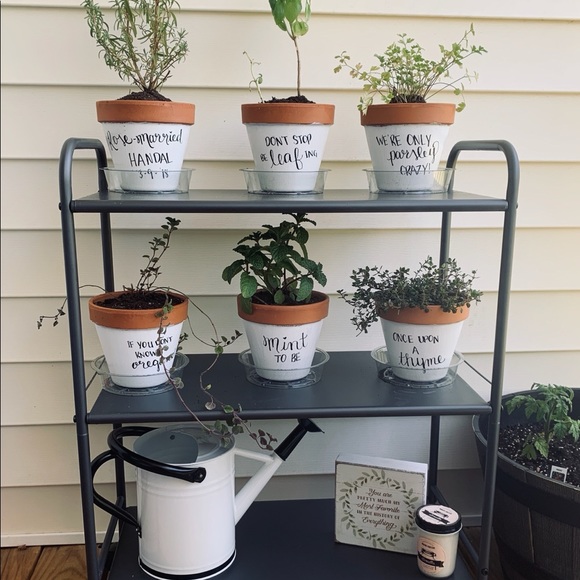 Meet your Posher, SarahRose - Picture 5 of 7